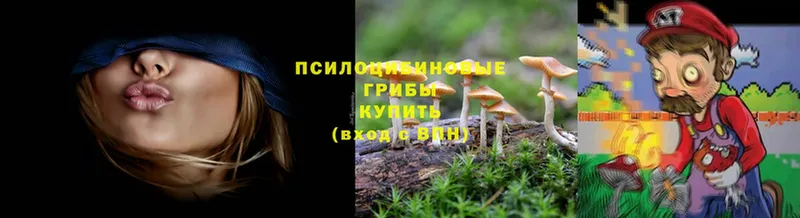 hydra рабочий сайт  Пролетарск  Псилоцибиновые грибы Psilocybe 